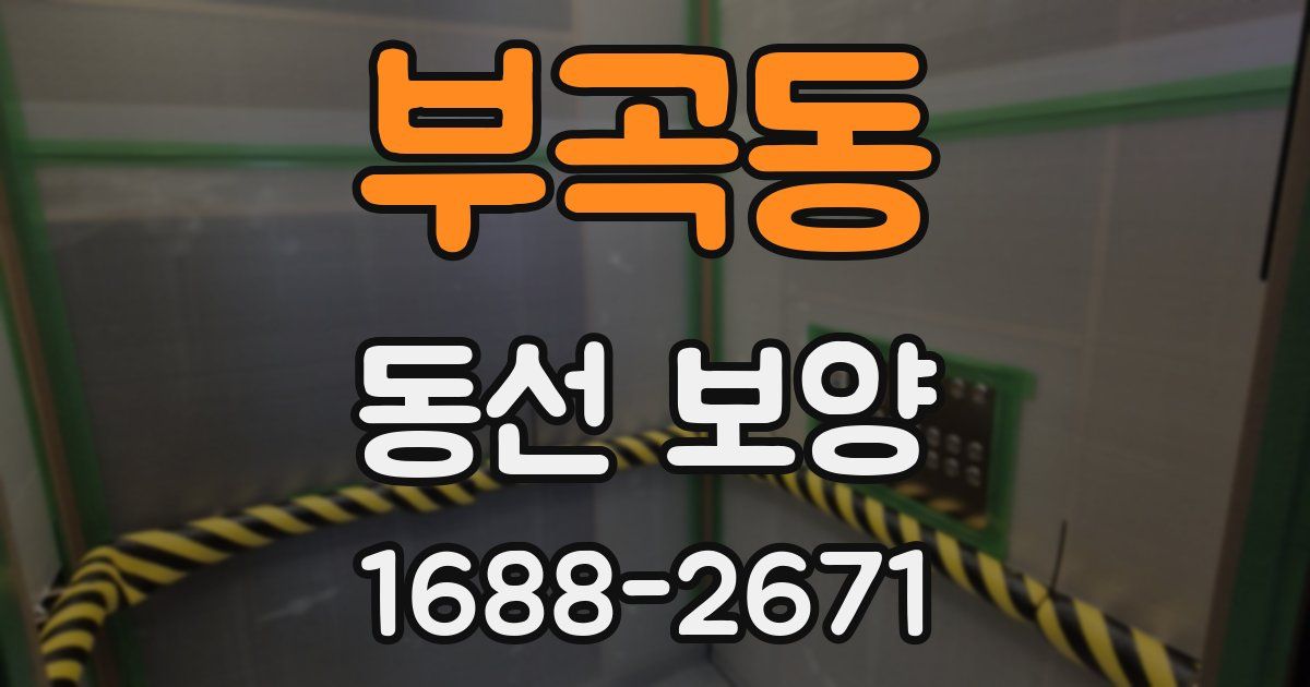 부곡동 동선 보양