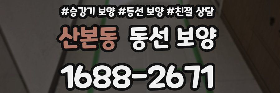 산본동 동선 보양
