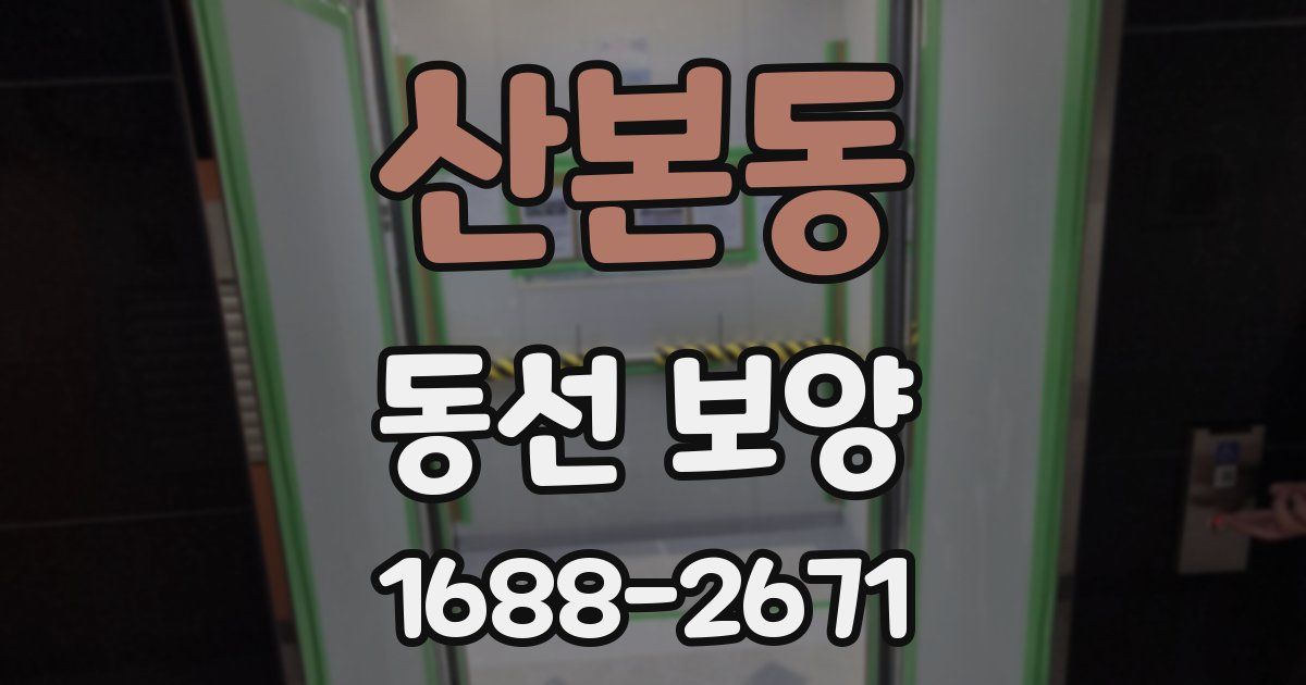 산본동 동선 보양
