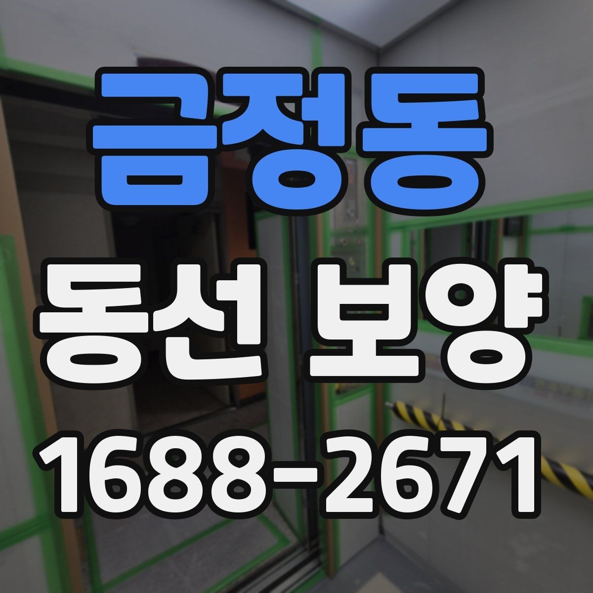금정동 동선 보양 비교 시 살펴봐야 할 차이점