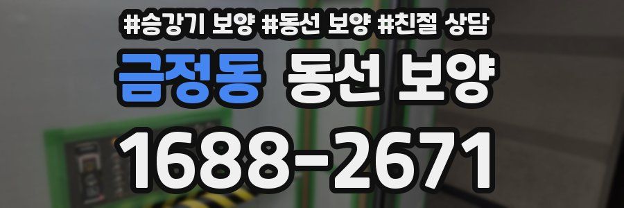 금정동 동선 보양