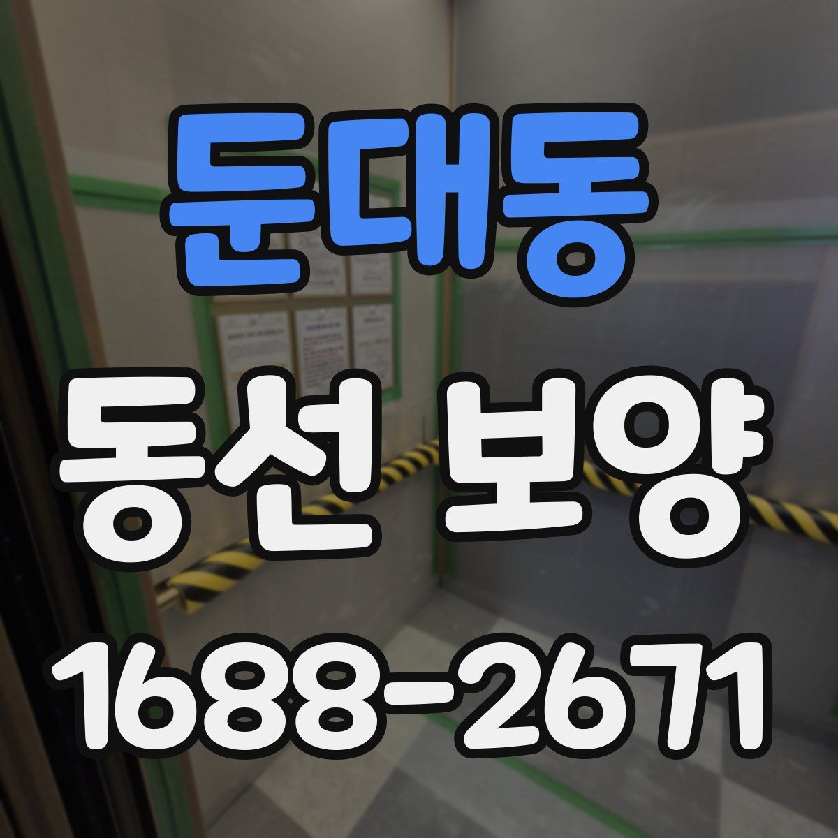 둔대동 동선 보양