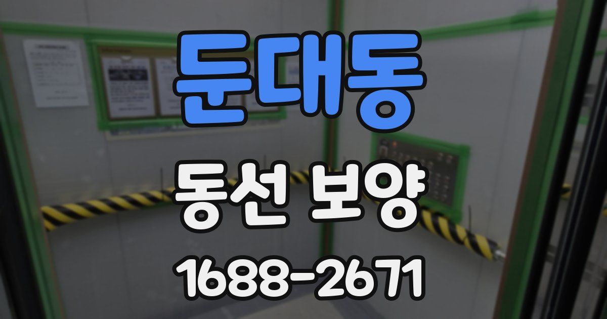 둔대동 동선 보양