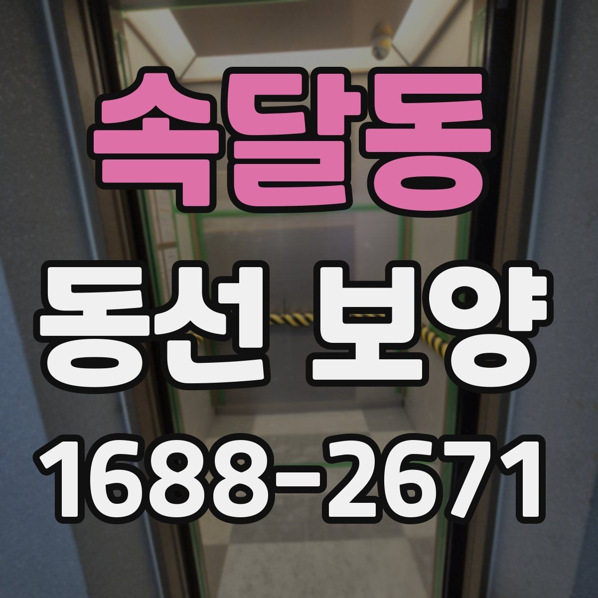 속달동 동선 보양 현장에서 발생하는 변수와 대처