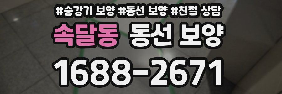 속달동 동선 보양