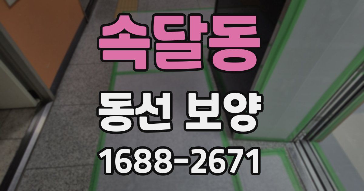 속달동 동선 보양