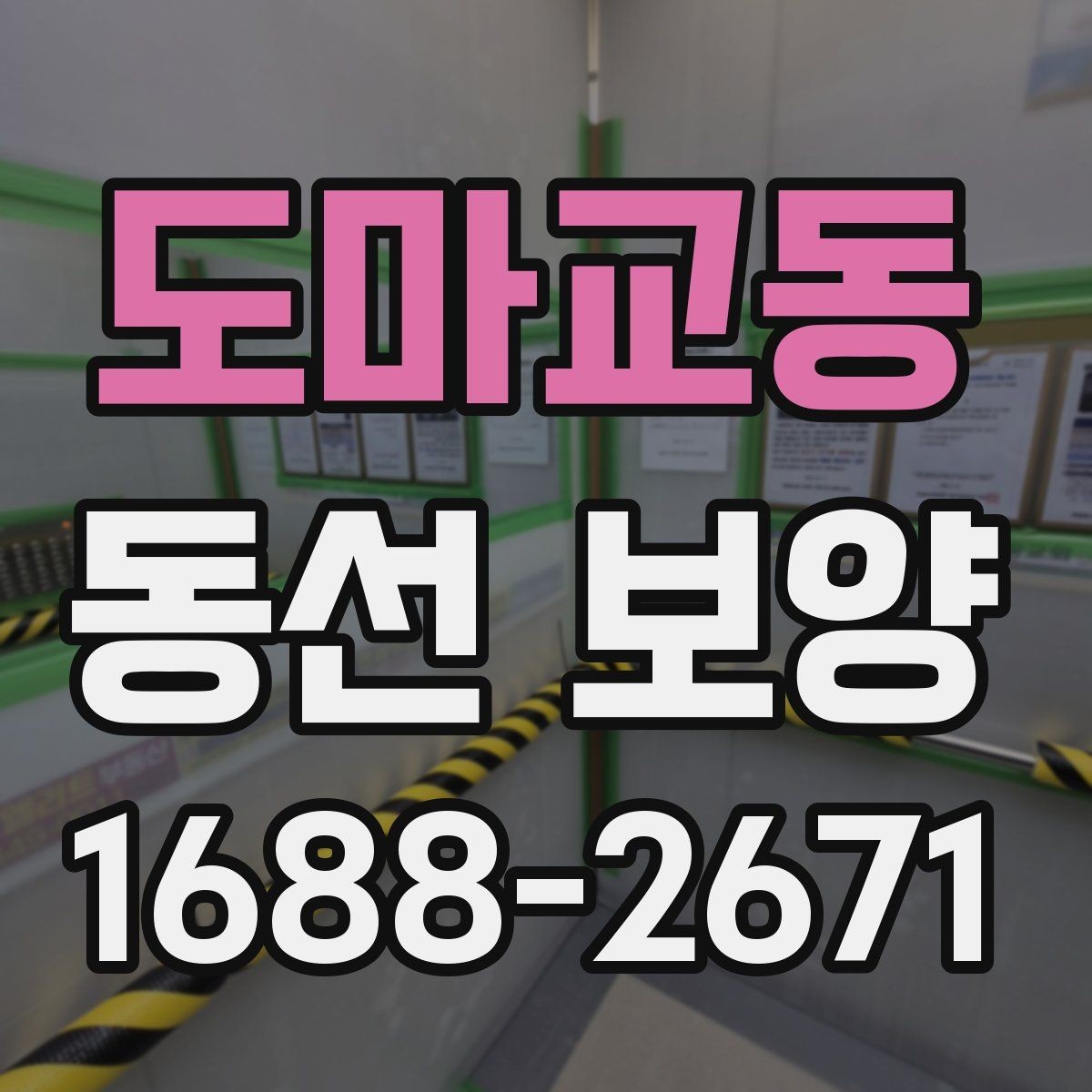 도마교동 동선 보양 과정에서 현장에서 많이 하는 실수