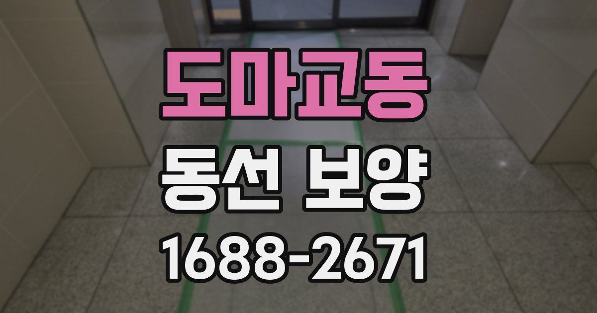도마교동 동선 보양