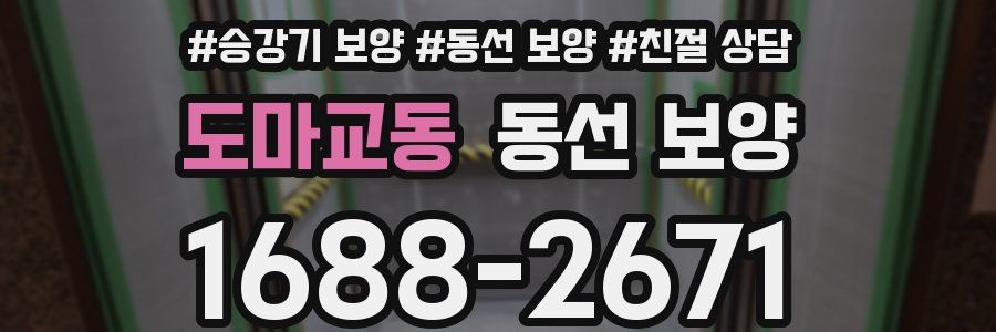 도마교동 동선 보양
