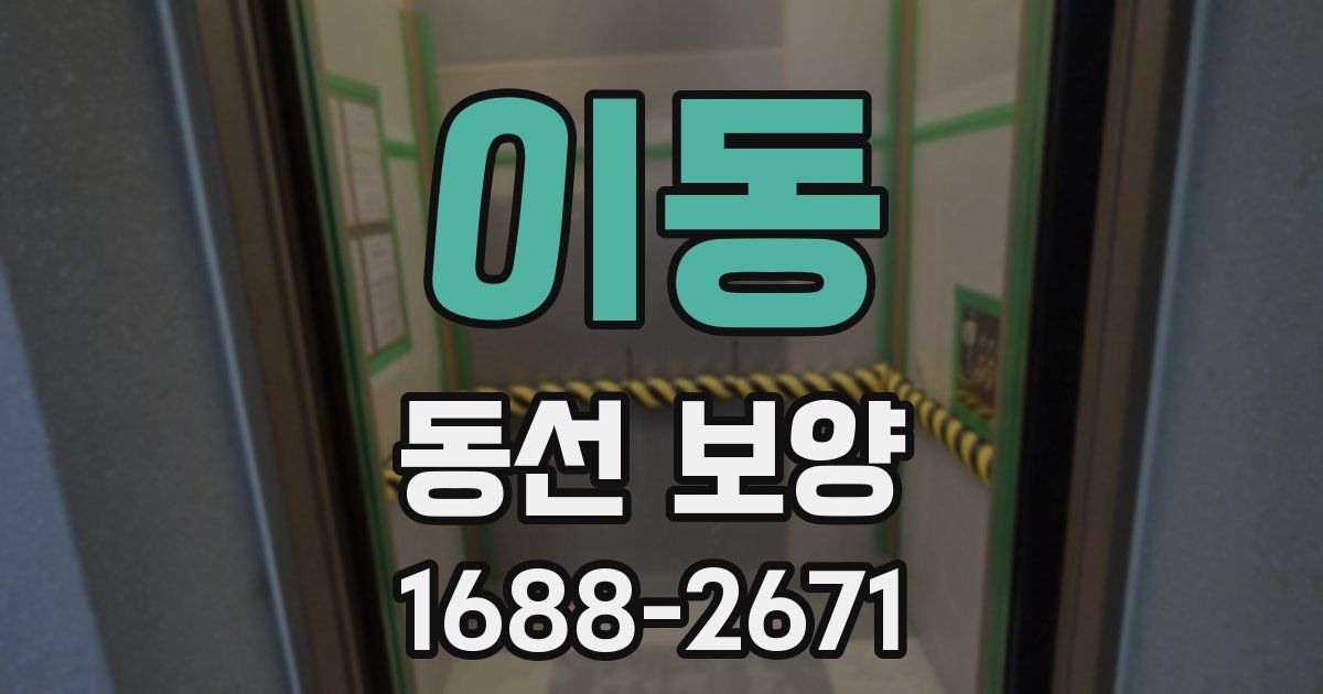 이동 동선 보양