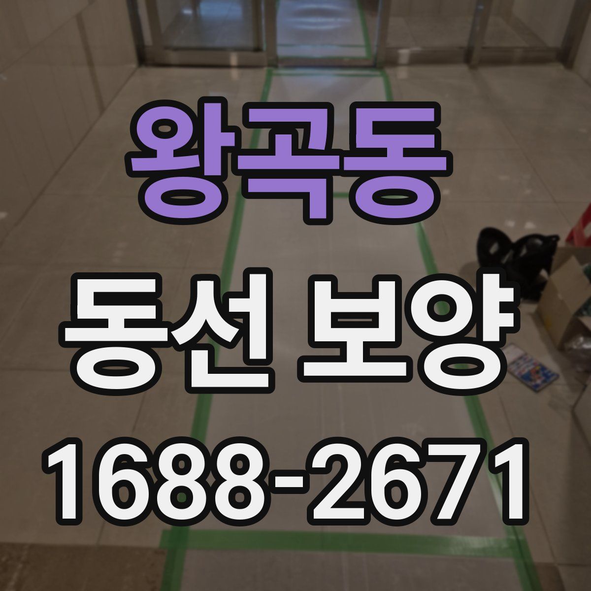 왕곡동 동선 보양