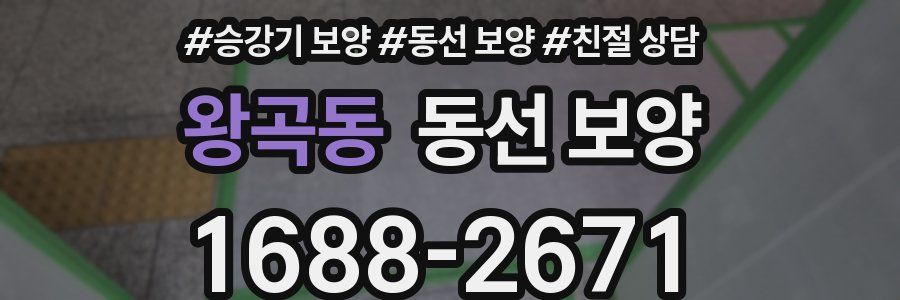 왕곡동 동선 보양