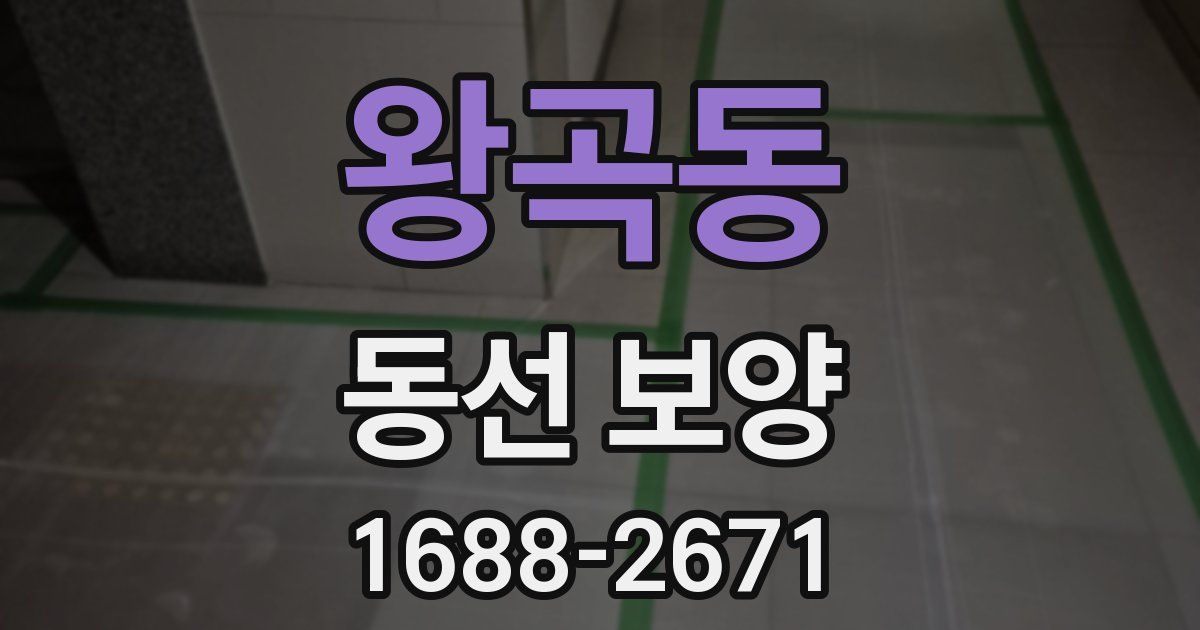 왕곡동 동선 보양