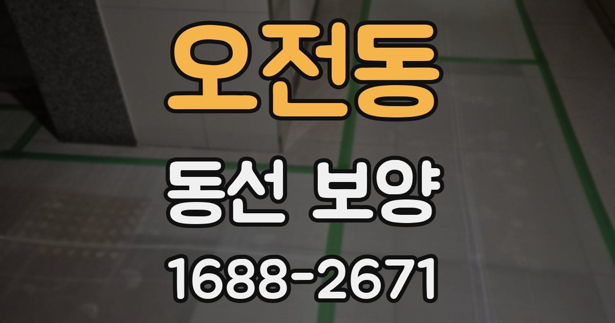 오전동 동선 보양
