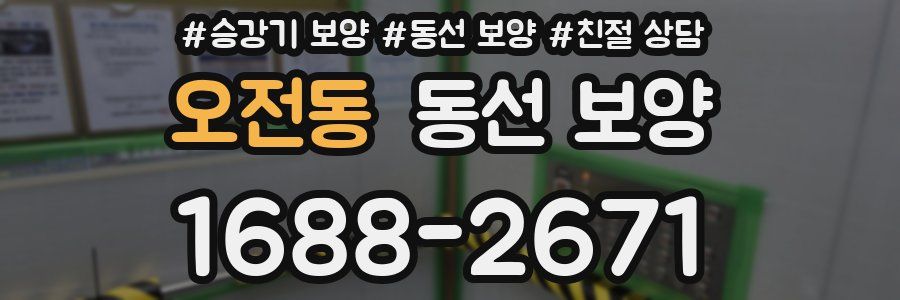 오전동 동선 보양
