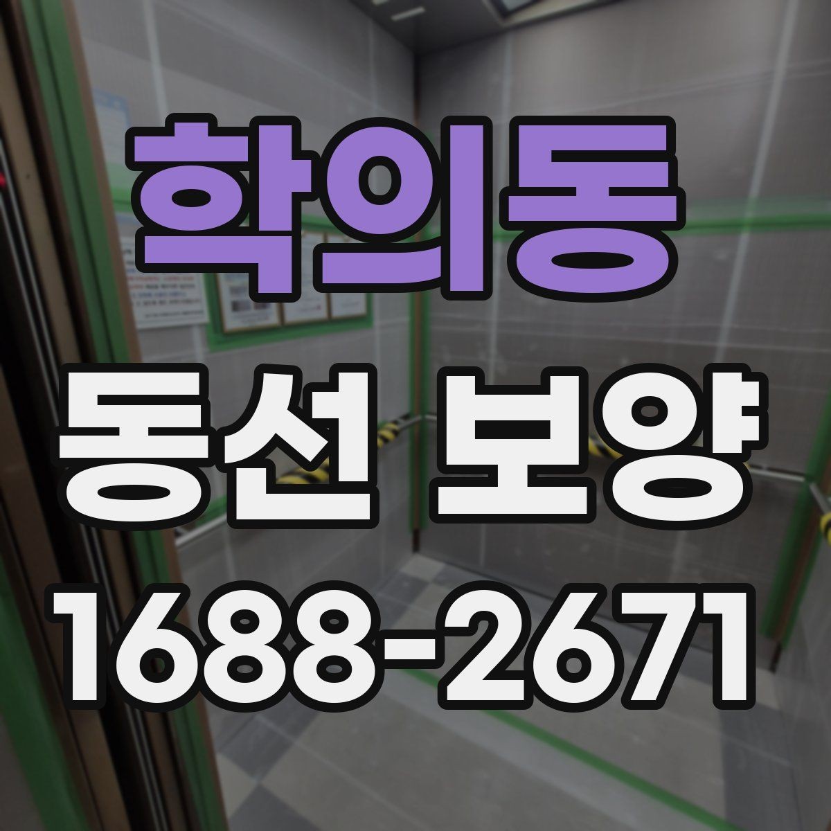학의동 동선 보양 방법을 상황별로 나누어 보기