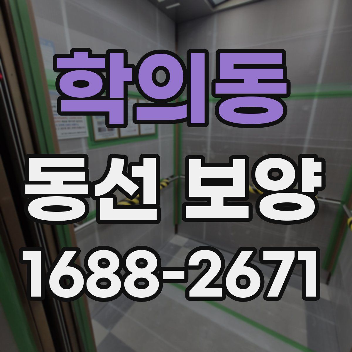 학의동 동선 보양