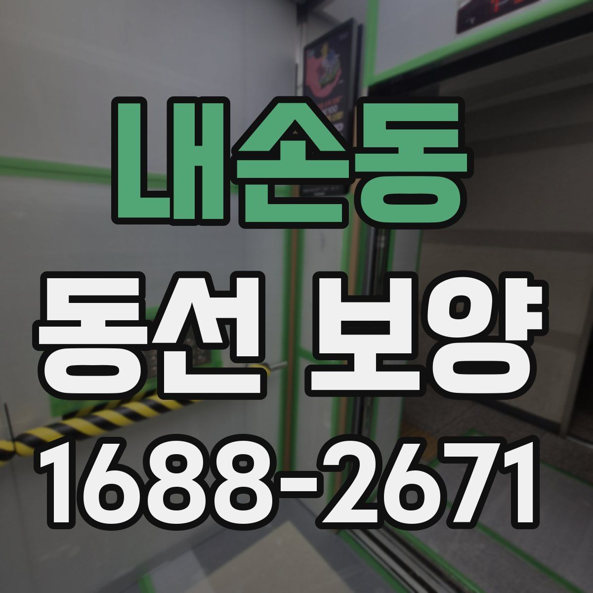 내손동 동선 보양
