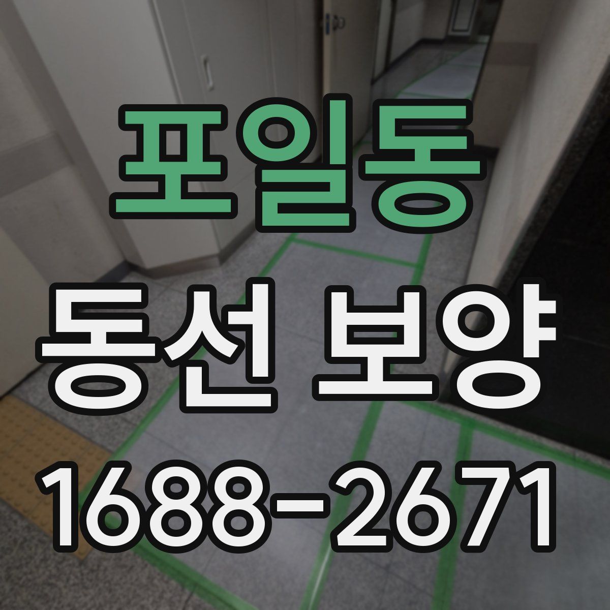 포일동 동선 보양
