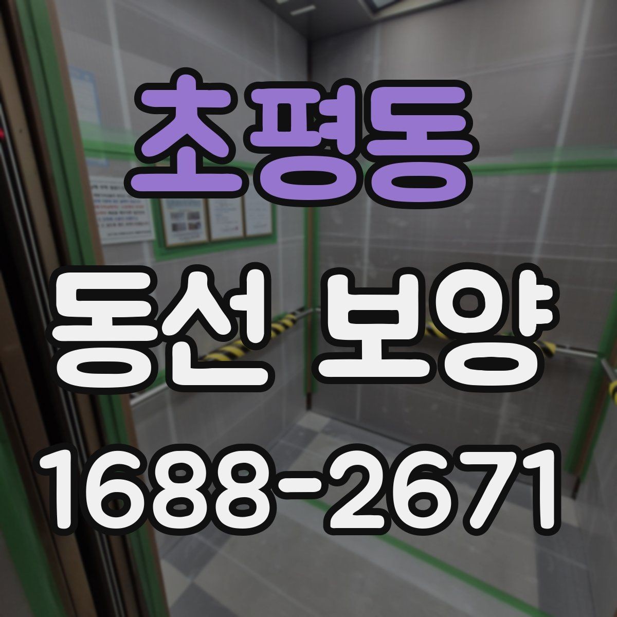 초평동 동선 보양 진행 과정에서 반복되는 실수
