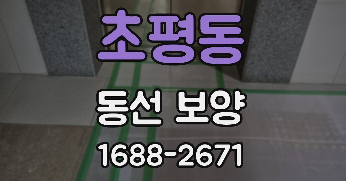 초평동 동선 보양
