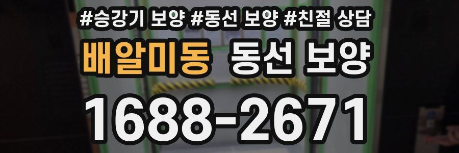 배알미동 동선 보양