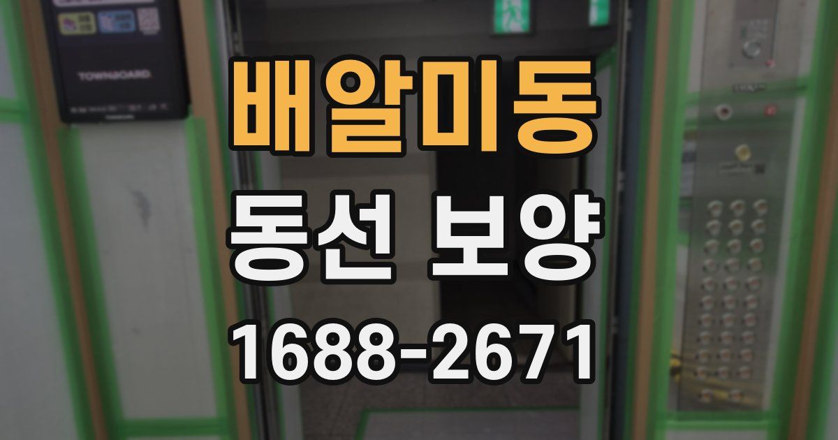 배알미동 동선 보양