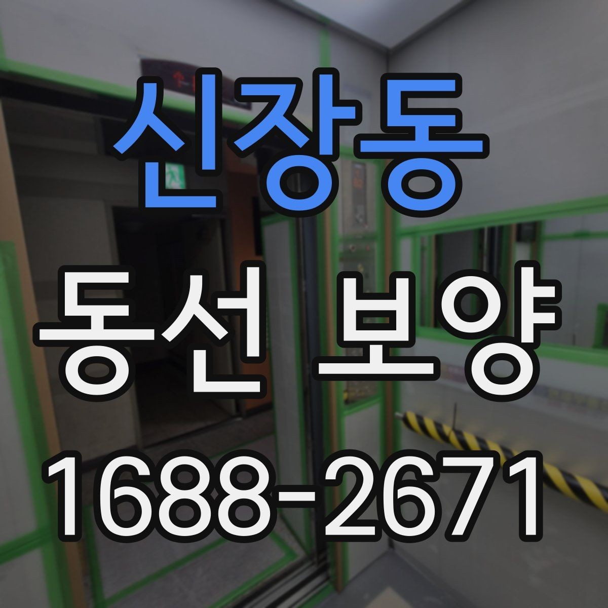 신장동 동선 보양 후 확인해야 하는 마무리 점검