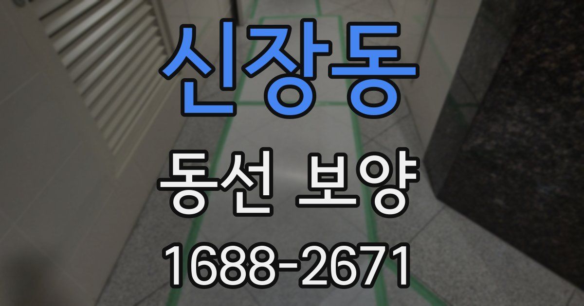 신장동 동선 보양