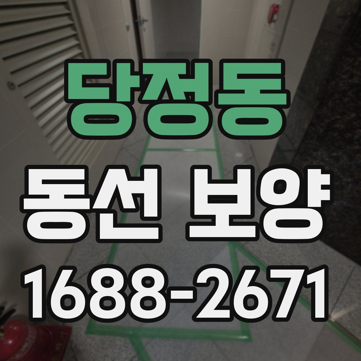 당정동 동선 보양 범위 설정과 작업 준비 방법