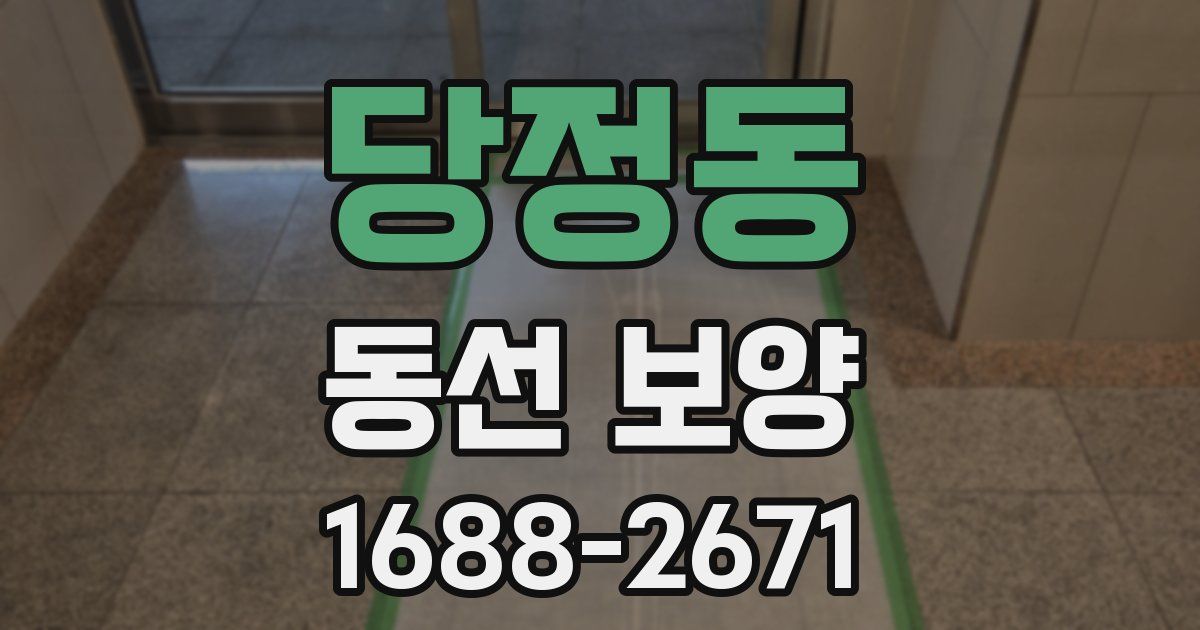 당정동 동선 보양