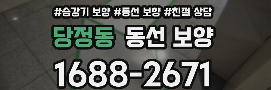 당정동 동선 보양