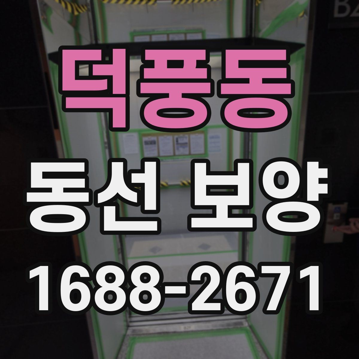 덕풍동 동선 보양 현장 사진으로 보는 작업 흐름