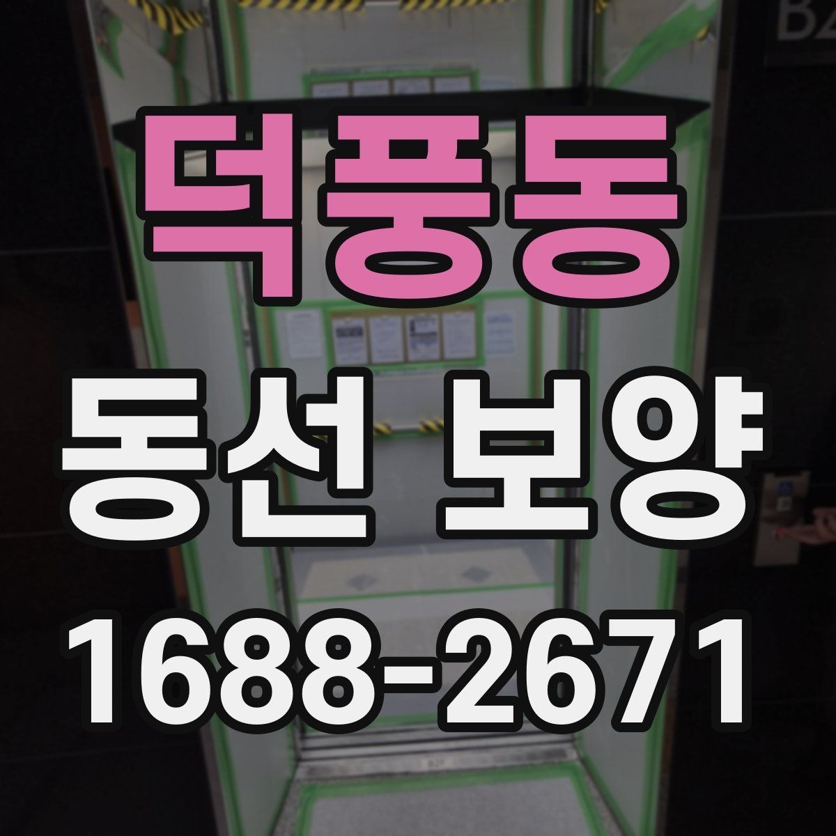 덕풍동 동선 보양
