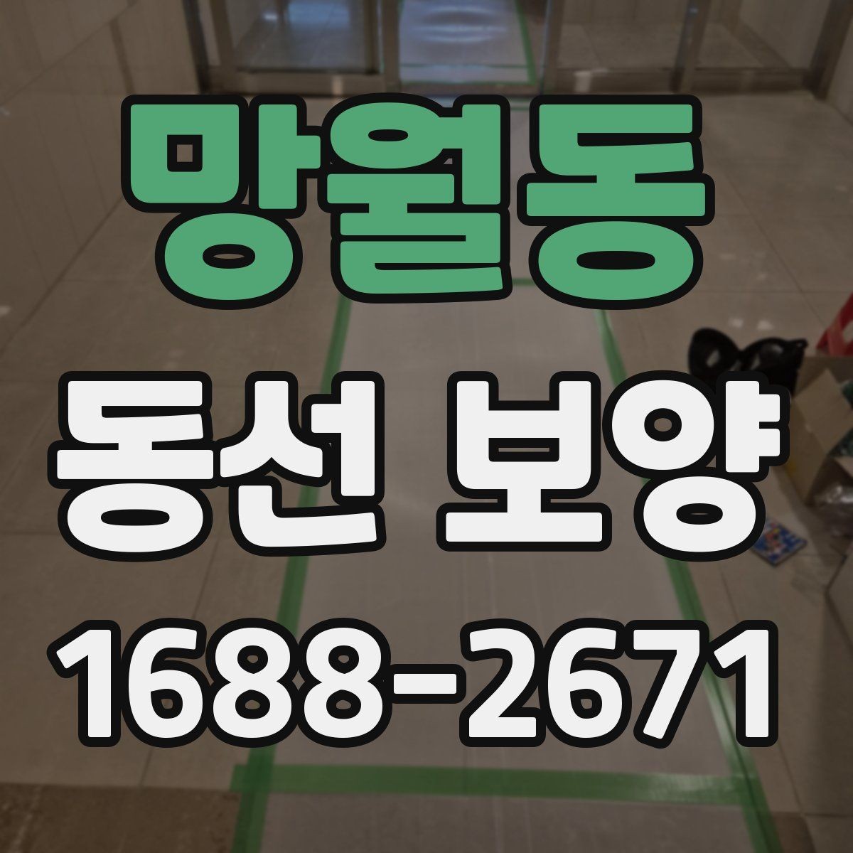 망월동 동선 보양 작업에서 자주 묻는 질문 정리