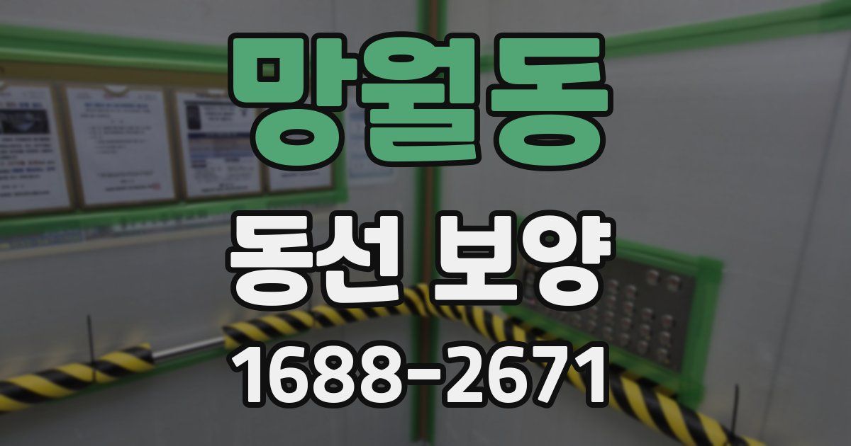 망월동 동선 보양