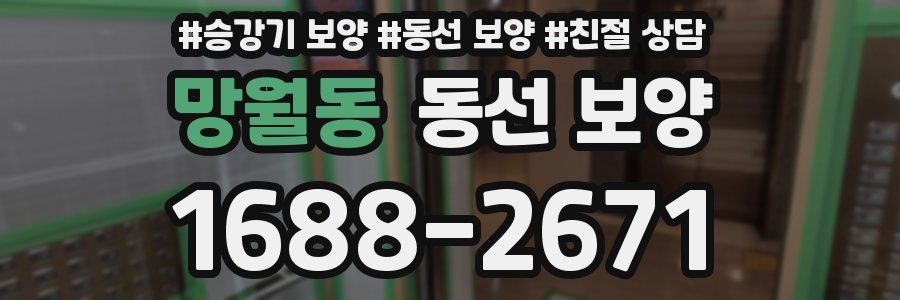 망월동 동선 보양