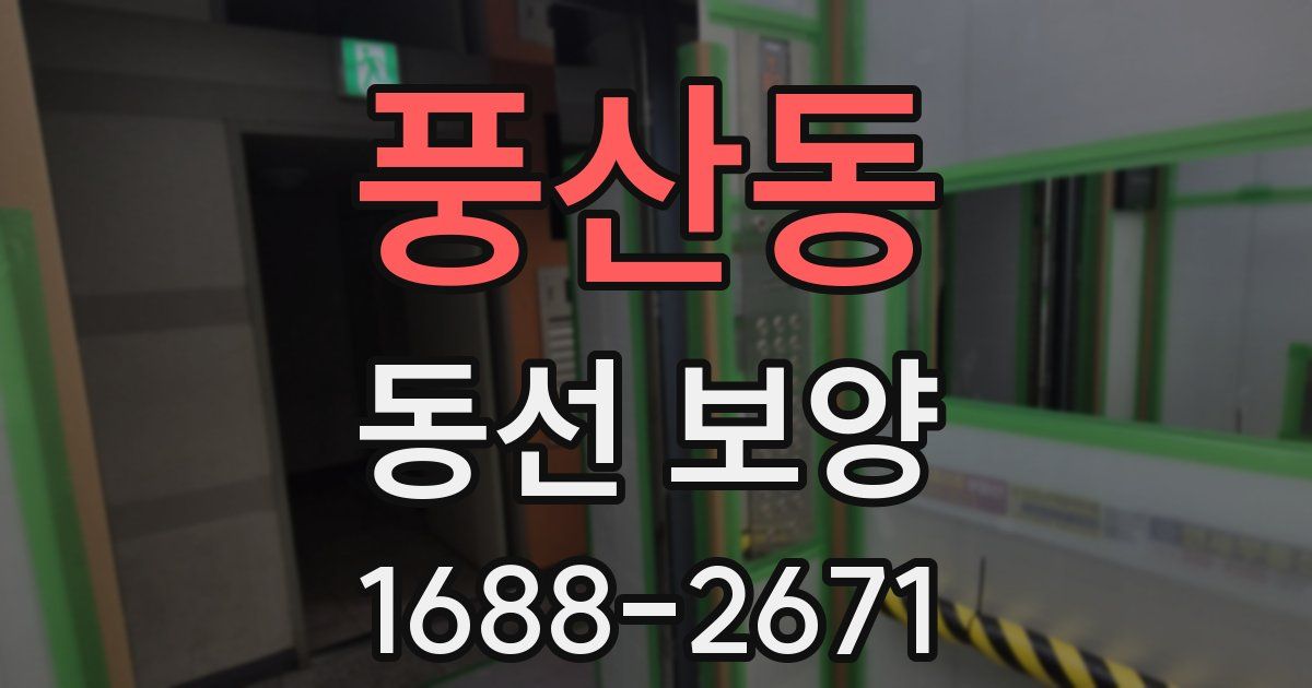 풍산동 동선 보양