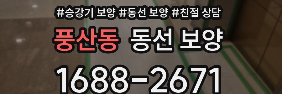 풍산동 동선 보양