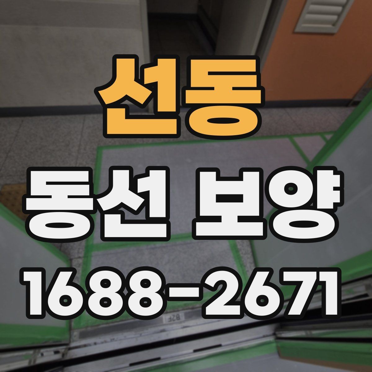 선동 동선 보양 전후 차이를 알기 쉽게 정리