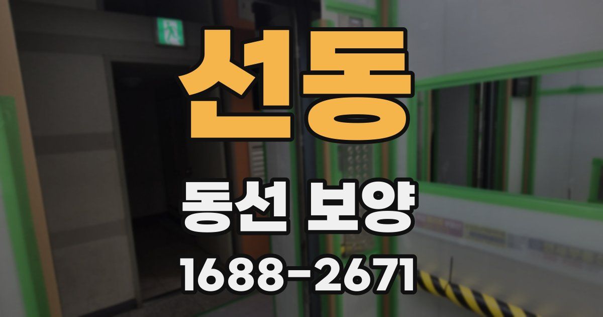 선동 동선 보양
