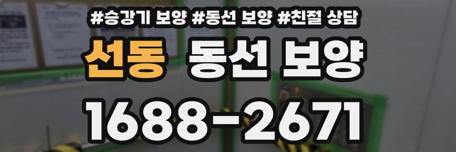 선동 동선 보양