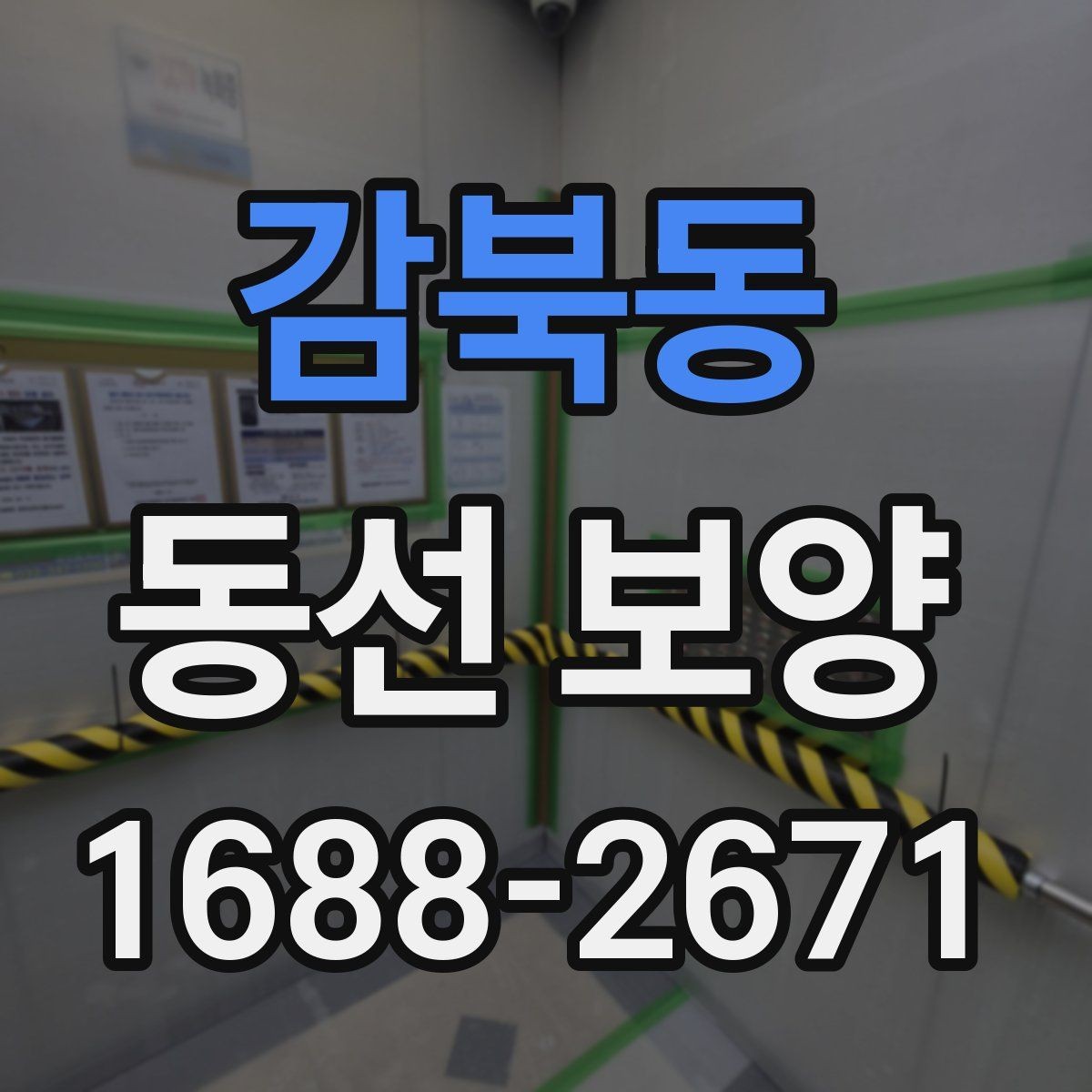 감북동 동선 보양 자재를 고를 때 보는 핵심 항목