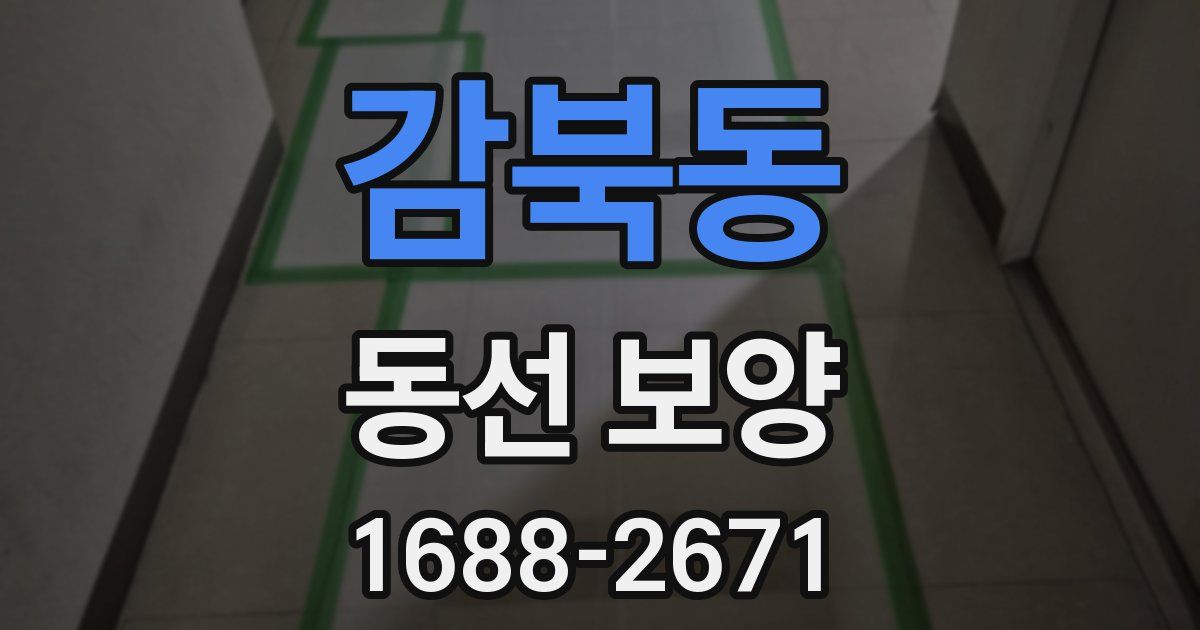 감북동 동선 보양