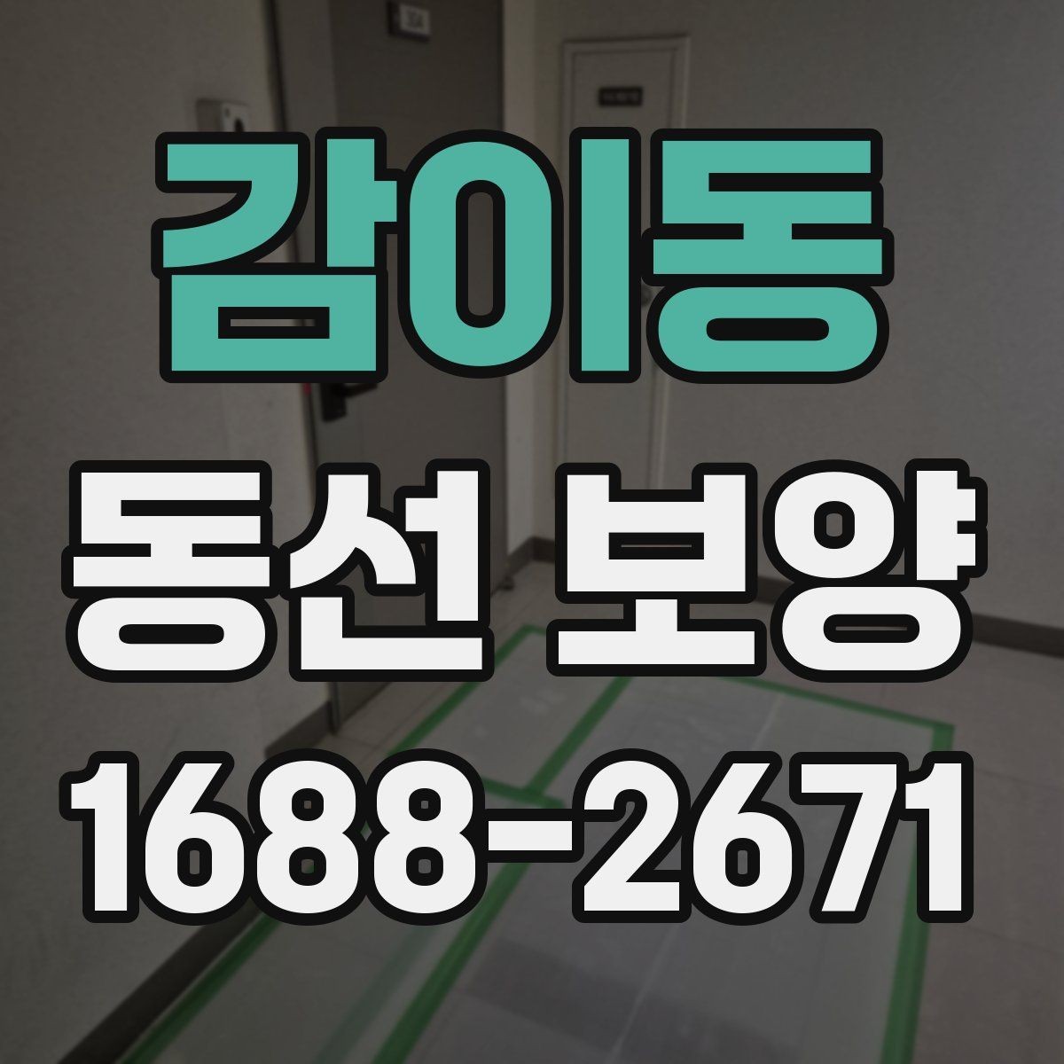 감이동 동선 보양 적용 시기와 적절한 타이밍