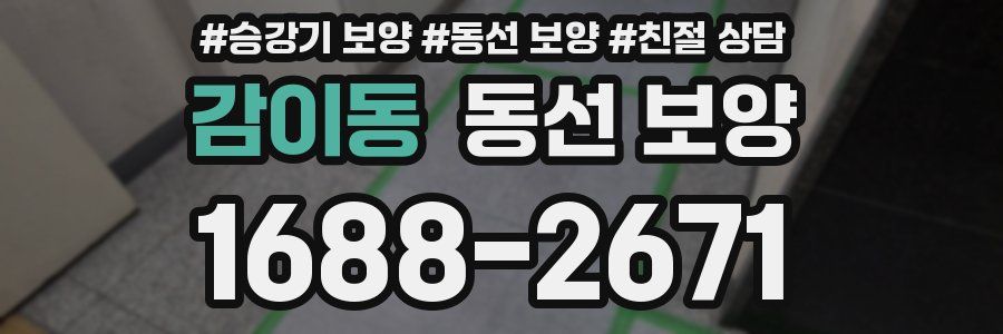 감이동 동선 보양