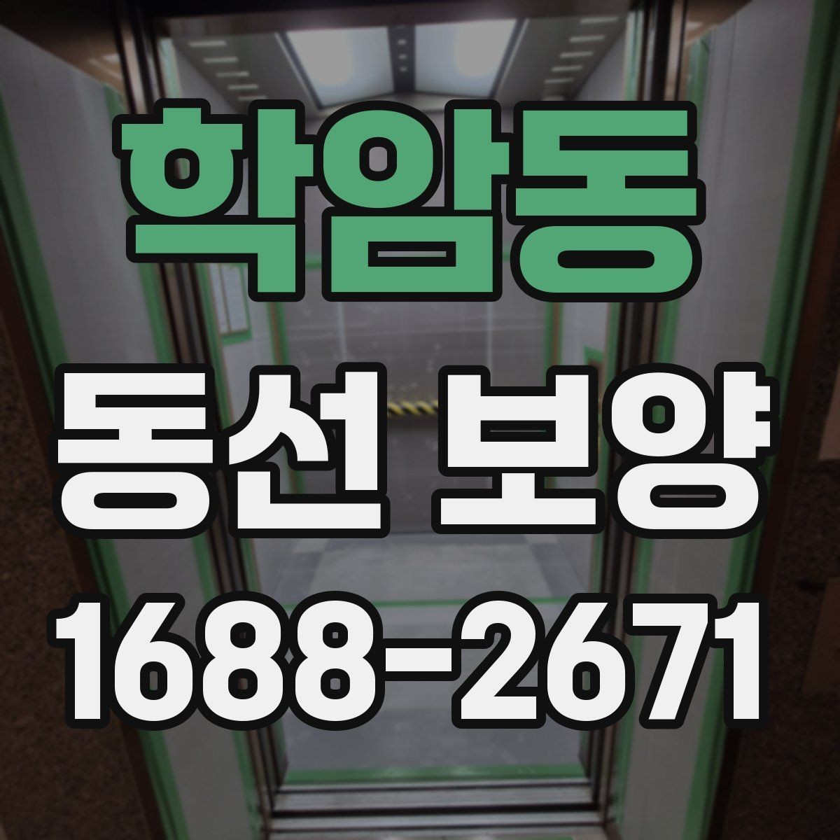 학암동 동선 보양 비용 산정 방식과 참고할 요소