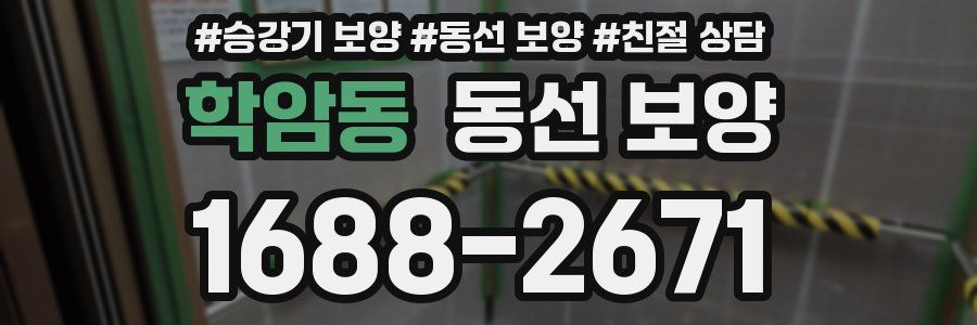 학암동 동선 보양
