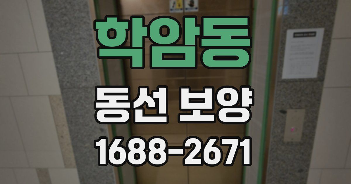 학암동 동선 보양