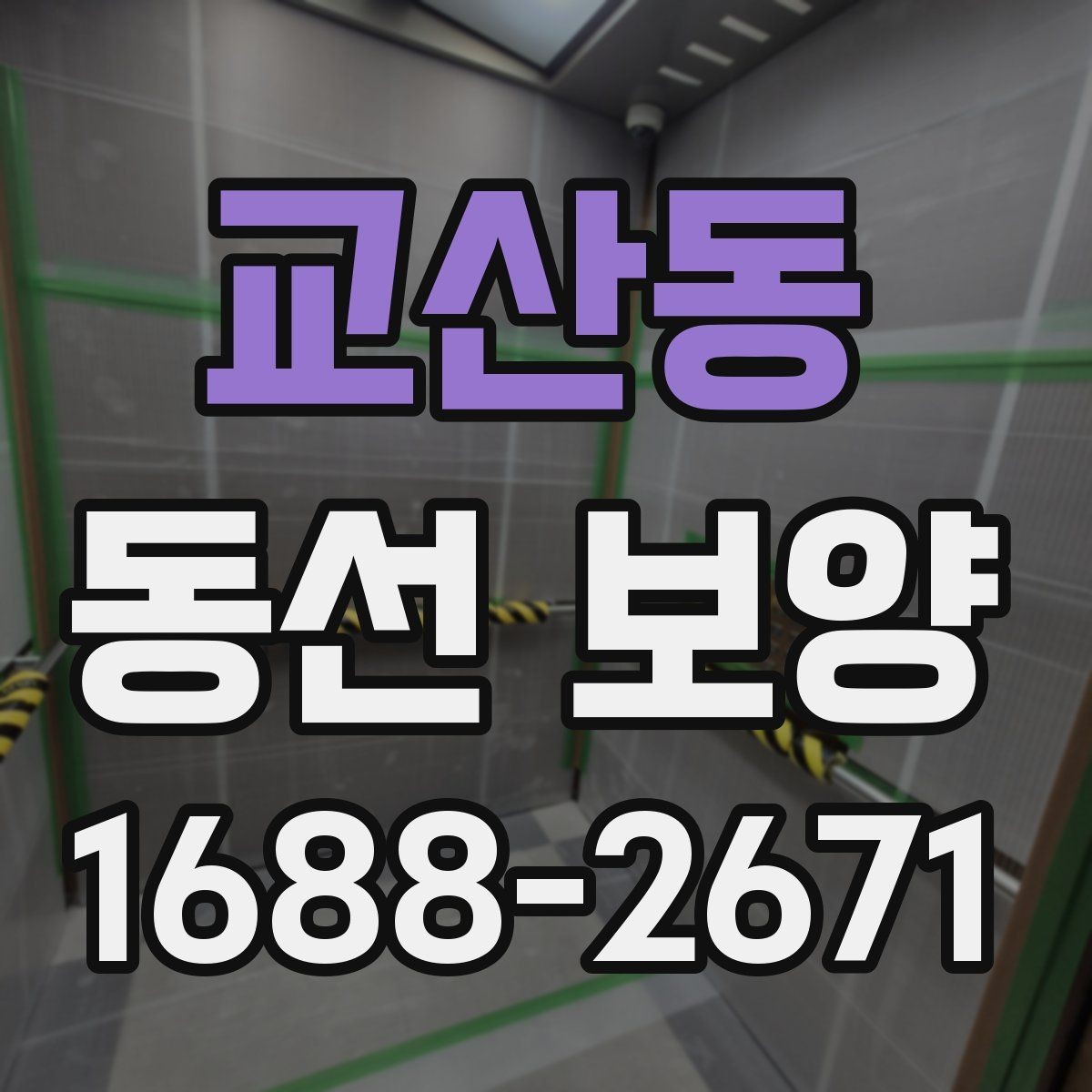 교산동 동선 보양 비용이 달라지는 요소들